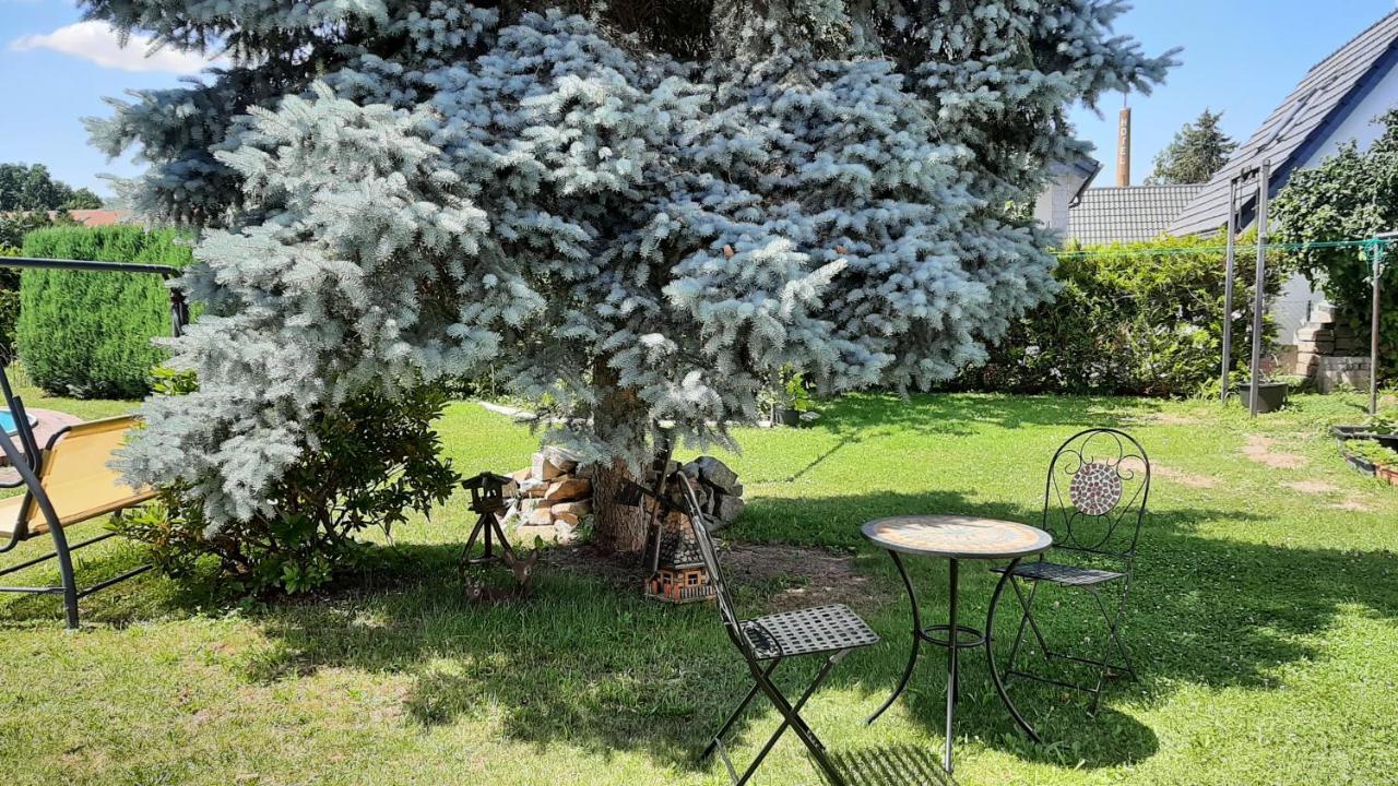 Ferienwohnung Koenig Niedergurig Bei Bautzen Malschwitz 외부 사진